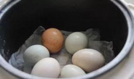 快餐店蒸蛋爆料视频播放,视频播放量惊人，网友热议不断